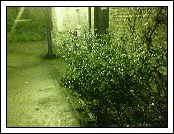 Picture 043 * 03.09.2007 * 640 x 480 * (245KB)